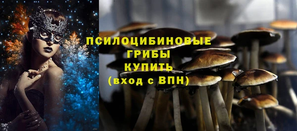 крисы Алексеевка