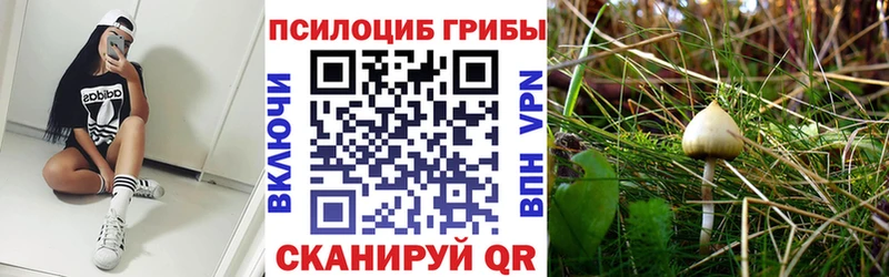 Псилоцибиновые грибы GOLDEN TEACHER  наркошоп  Красногорск 
